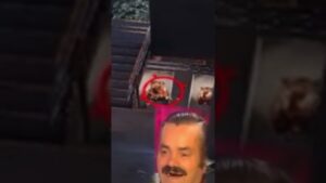 Bamboozled By A Painting - Rainbow Six Siege Clips