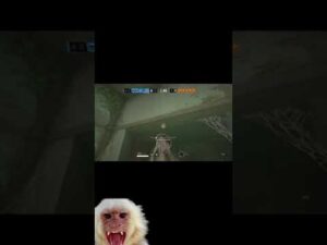 Wild Monkey Found in Rainbow Six Siege