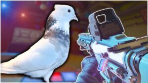 how an ACTUAL bird plays rainbow six siege