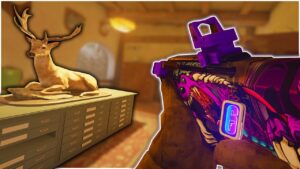 the best gun in rainbow six siege