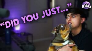 My puppy got me killed... - Rainbow Six Siege