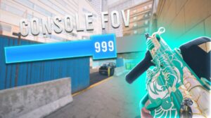 How Good is MAX FOV On Console Rainbow Six Siege?