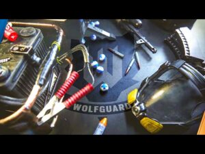 RAINBOW SIX SI DIVIDE: COS'È *WOLFGUARD*? [Analisi CGI] | Rainbow Six Siege ITA