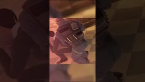 Dumb Moments in Rainbow Six Siege