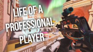 When a PROFESSIONAL Queues for Ranked...