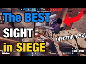 The BEST SIGHT in SIEGE - Rainbow Six Siege [BRUTAL SWARM]