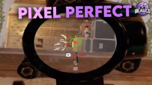 PIXEL PERFECT - Rainbow Six Siege