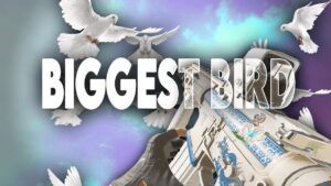 Biggest Bird 🕊️| Rainbow Six Siege Montage