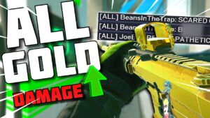 WHY DID THEY ADD THIS to SIEGE?