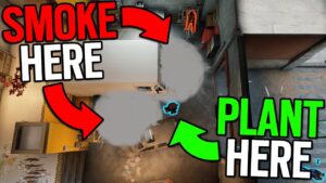 Console Champ Crew: Use This Plant Strat