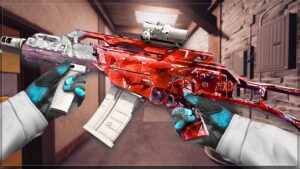 The ONLY Gun You NEED in Rainbow Six Siege...