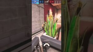 rainbow six siege #60fps #gaming #gameplay #g #re