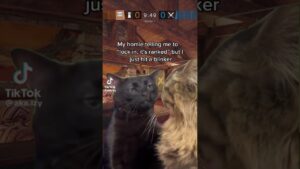 Rainbow six siege *FUNNY TIKTOK* #clips #gaming #rainbow#shorts  #like #fyp #r6s #jynxzi