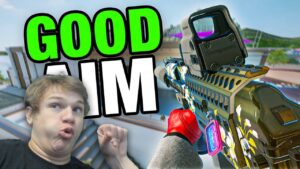 what GOOD AIM looks like in SIEGE