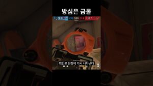 복수의 복수 | 레식 RAINBOW SIX SIEGE