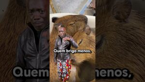 Não seja tóxico! Contribua para a comunidade de #RainbowSixSiege ser melhor!