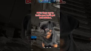 R6 POV 😂 Rainbow Six Siege Champ Girl 💗 #rainbowsixsiege