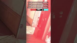 This Cheater Had HOW MANY Alts?! Rainbow Six Siege #gaming