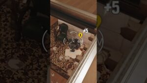 Mr Freeze #rainbowsixsiege