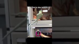 THAT R6 STRUGGLE… #rainbowsixsiege #gaming #r6 #siege #6siege #funny #controller #r6s #r6sranked