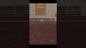 Easter egg「彩蛋」｜Rainbow Six Siege 虹彩六號：圍攻行動