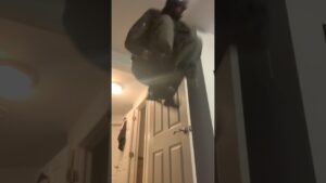 Randoms Never Listen… 😐 #r6community #rainbowsixsiege #r6s #siege #shorts