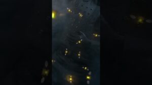 Unraveling the Mysteries of Rainbow Six Siege Lore